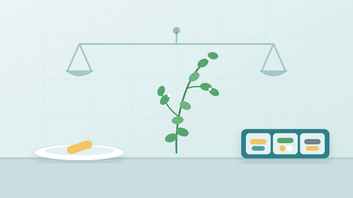 Bacopa on Its Own or in a Blend: What It Is Usually Paired With