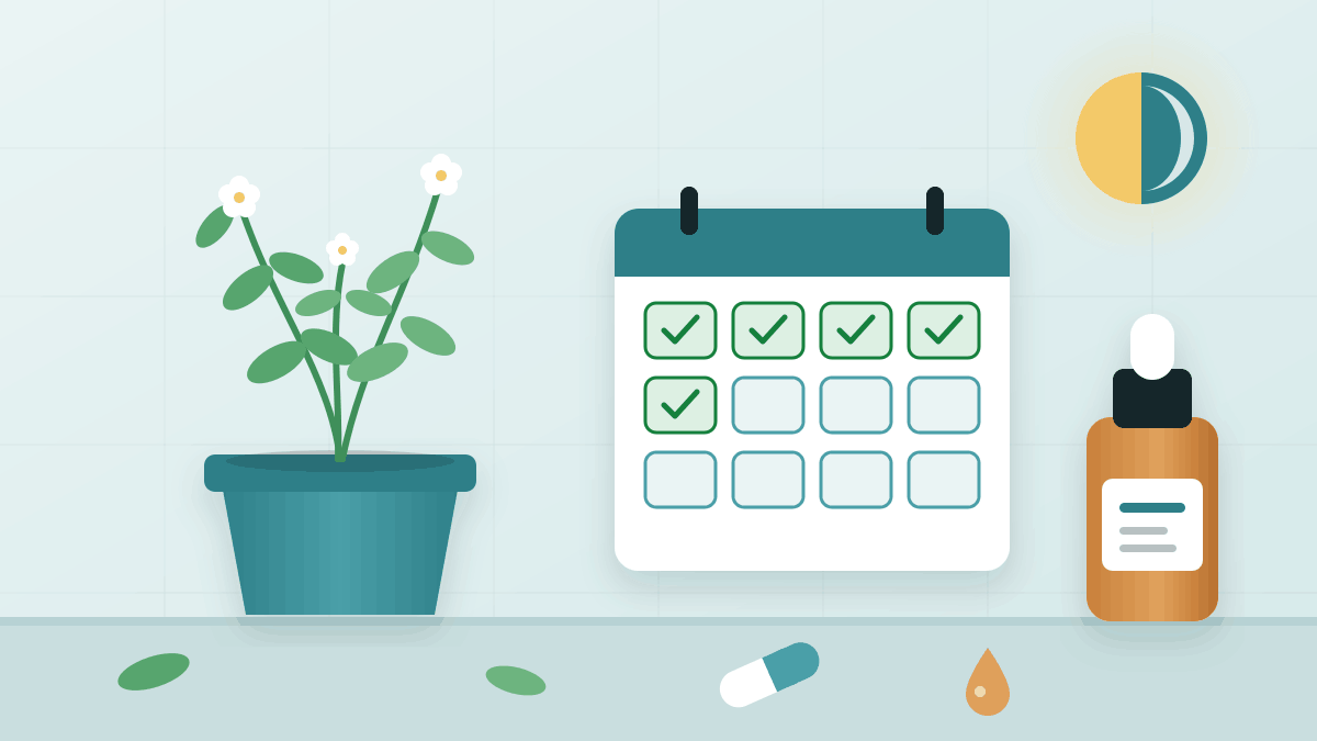 Bacopa for Memory After 60: Dosage, Timing, Side Effects