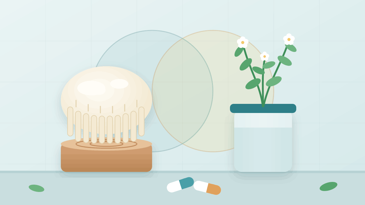 Lion's Mane vs Bacopa After 60: Which Fits, or Both?