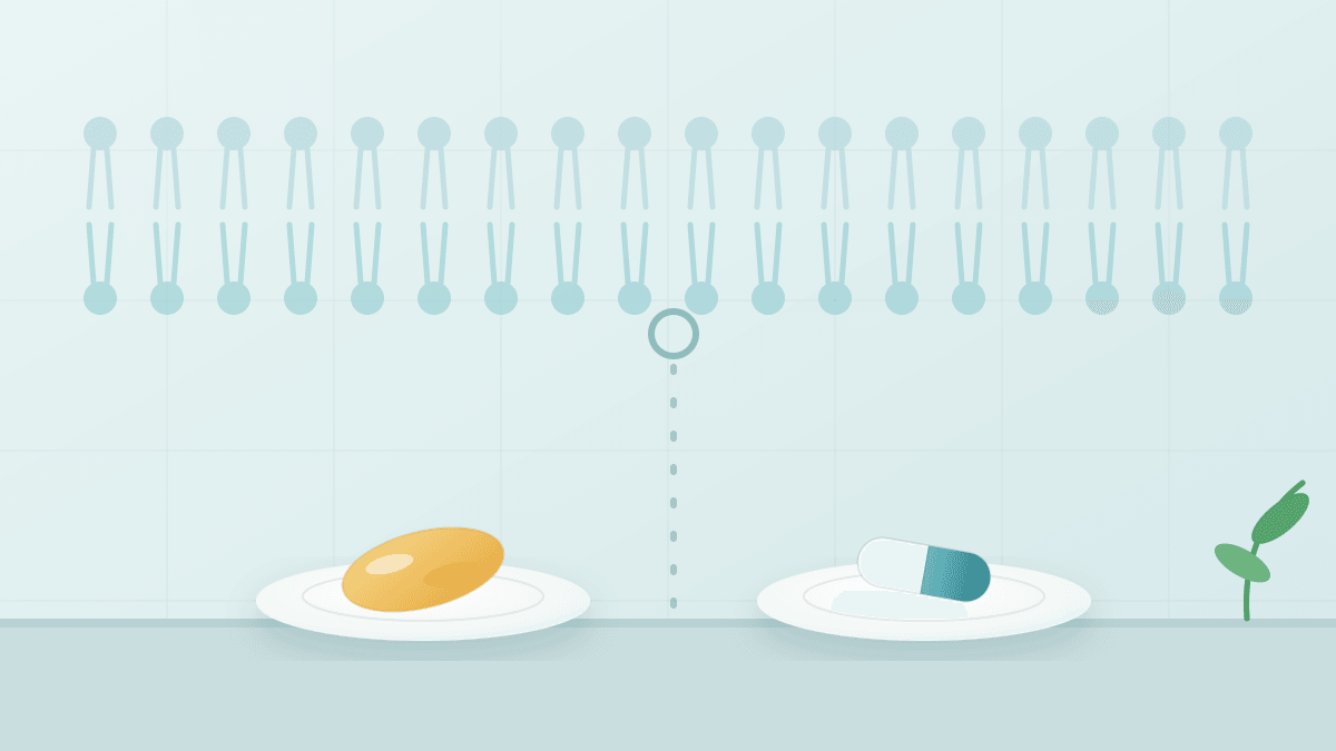 Phosphatidylserine or Fish Oil for Memory After 60?