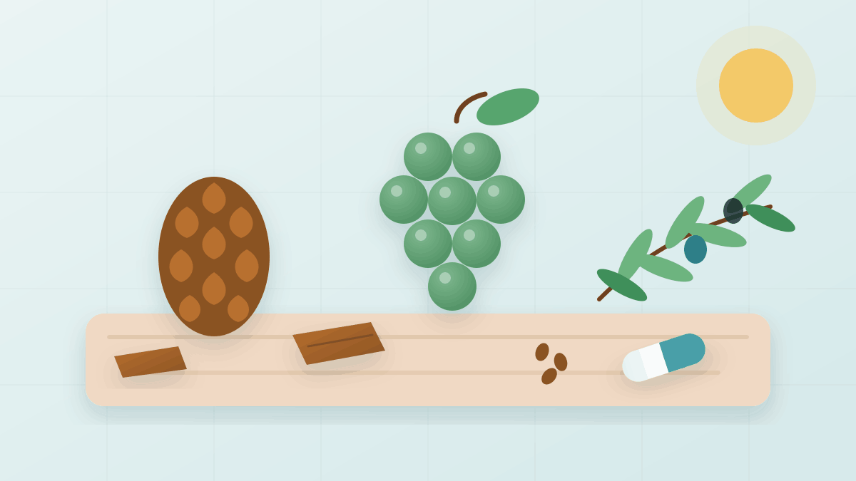 Pine Bark, Grape Seed and Olive Leaf for Memory After 60